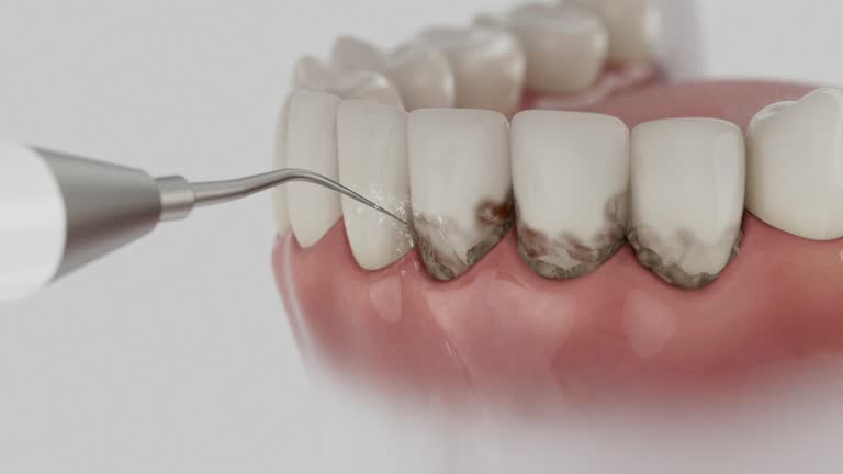Reliable Dental contractor in Ocean Springs, MS by Dentist Open Now